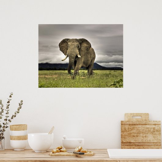 Elephant Posters Poster (Küche)