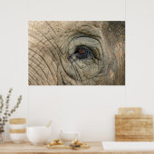 Elephant Posters Poster (Küche)