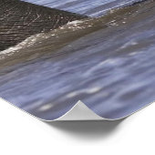 Elephant Posters Poster (Ecke)