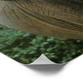 Elephant Posters Poster (Ecke)