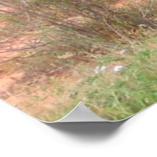 Elephant Posters Poster (Ecke)