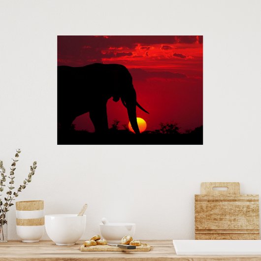 Elephant Posters Poster (Küche)