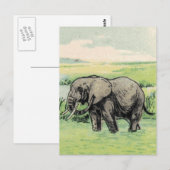 Elephant Postkarte (Vorne/Hinten)