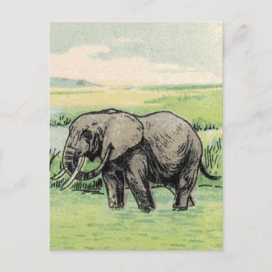 Elephant Postkarte (Vorderseite)
