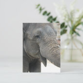 Elephant Postkarte (Stehend Vorderseite)