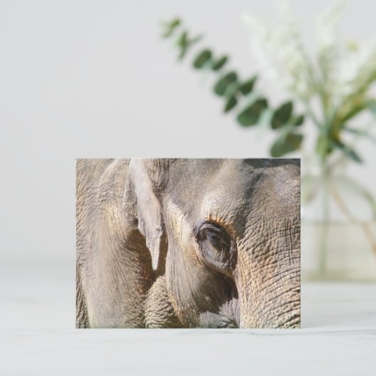ELEPHANT POSTKARTE (Stehend Vorderseite)