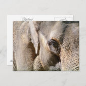 ELEPHANT POSTKARTE (Vorne/Hinten)