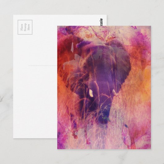 Elephant Postkarte (Vorne/Hinten)