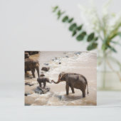 Elephant Postkarte (Stehend Vorderseite)