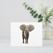 Elephant Postkarte (Stehend Vorderseite)