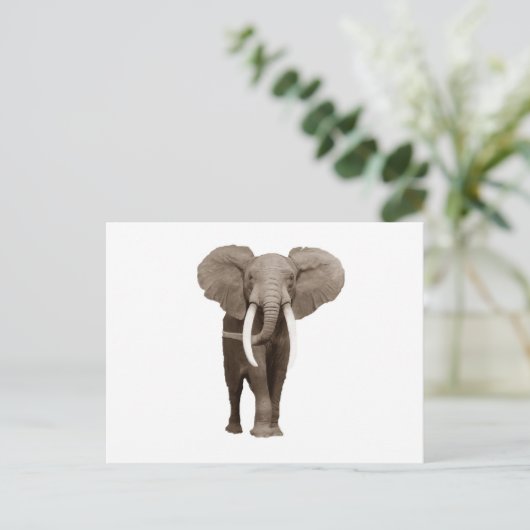 Elephant Postkarte (Stehend Vorderseite)