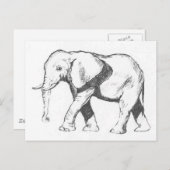 Elephant Postkarte (Vorne/Hinten)