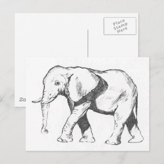 Elephant Postkarte (Vorne/Hinten)