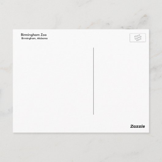 Elephant Postkarte (Rückseite)