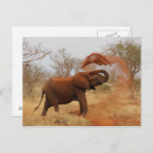 Elephant Postkarte (Vorne/Hinten)