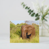 Elephant Postkarte (Stehend Vorderseite)