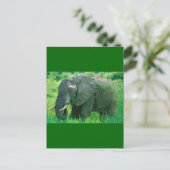 Elephant Postkarte (Stehend Vorderseite)