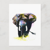 Elephant Postkarte (Vorderseite)