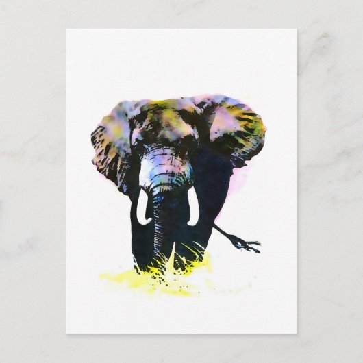 Elephant Postkarte (Vorderseite)