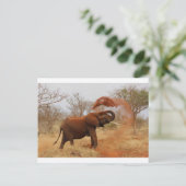 Elephant Postkarte (Stehend Vorderseite)