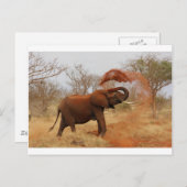 Elephant Postkarte (Vorne/Hinten)