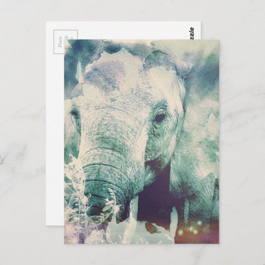 Elephant Postkarte (Vorne/Hinten)