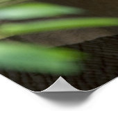 Elephant Print Poster (Ecke)