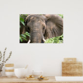 Elephant Print Poster (Küche)