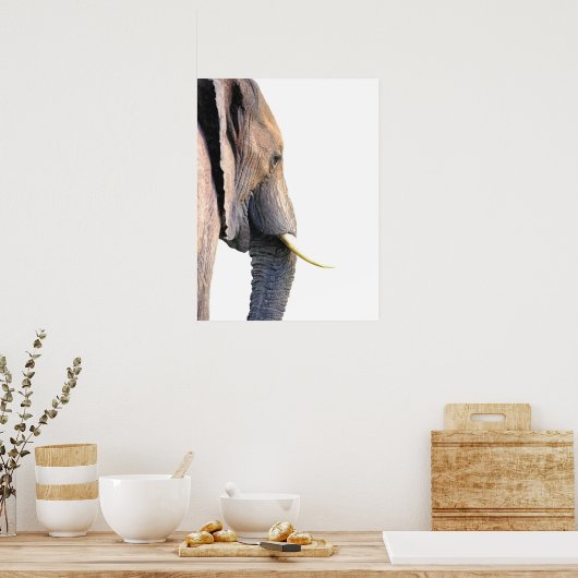 Elephant Profile Dschungeltierportrait Poster (Küche)