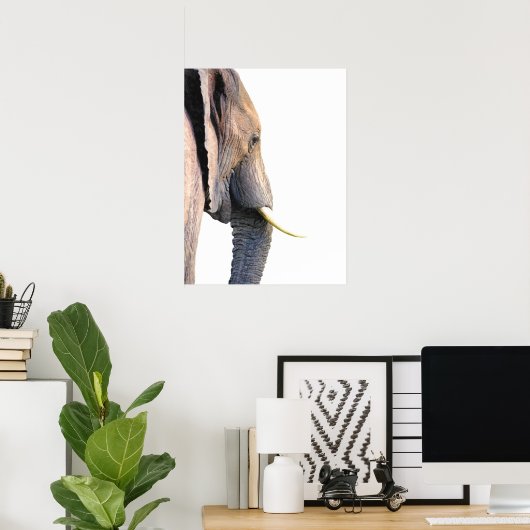 Elephant Profile Dschungeltierportrait Poster (Heimbüro)