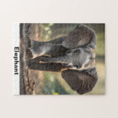 Elephant-Puzzle Puzzle (Horizontal)