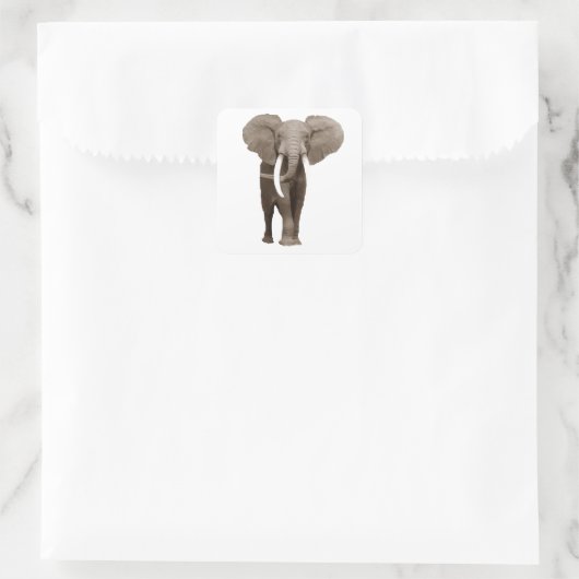 Elephant Quadratischer Aufkleber (Tasche)