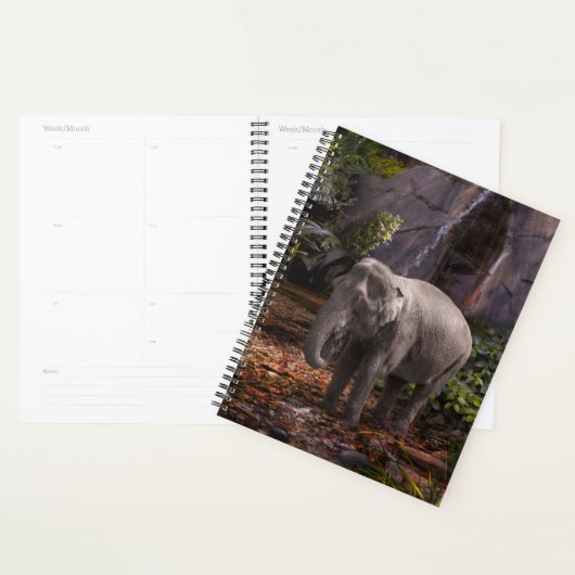 ELEPHANT RAIN FOREST PLANER (Anzeige)