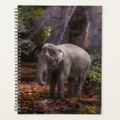 ELEPHANT RAIN FOREST PLANER (Vorderseite)