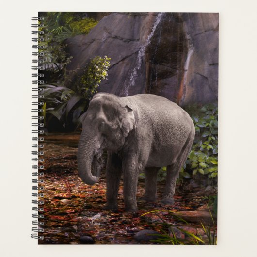 ELEPHANT RAIN FOREST PLANER (Vorderseite)