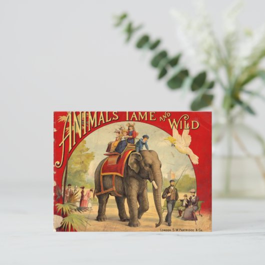 Elephant Red Book Postkarte (Stehend Vorderseite)