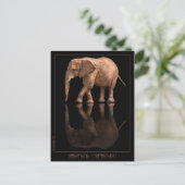 Elephant Reflection Postcard Postkarte (Stehend Vorderseite)