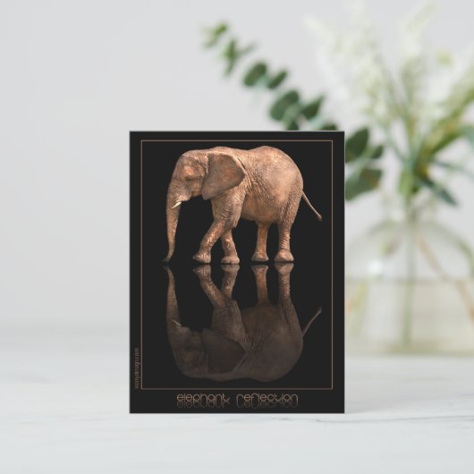 Elephant Reflection Postcard Postkarte (Stehend Vorderseite)