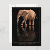 Elephant Reflection Postcard Postkarte (Vorne/Hinten)