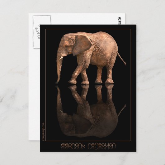 Elephant Reflection Postcard Postkarte (Vorne/Hinten)