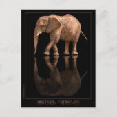 Elephant Reflection Postcard Postkarte (Vorderseite)