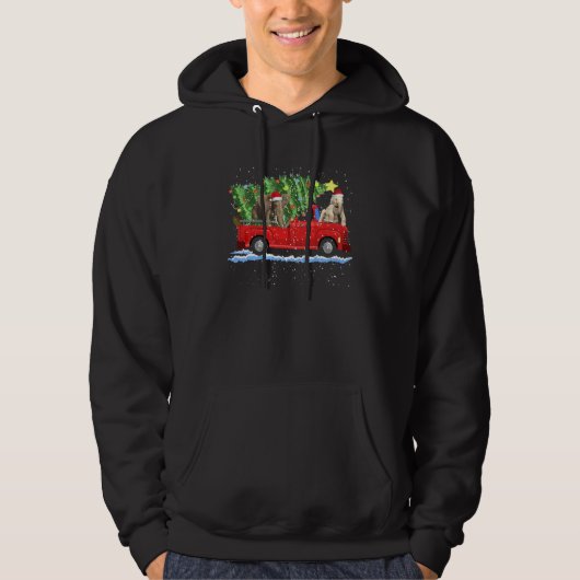Elephant Rides Red Truck Weihnachtsbaum Xmas Hoodie (Vorderseite)