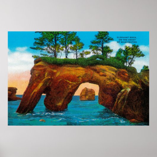 Elephant Rock an der Washington Coast Poster (Vorne)