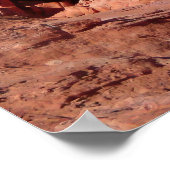 Elephant Rock Poster (Ecke)