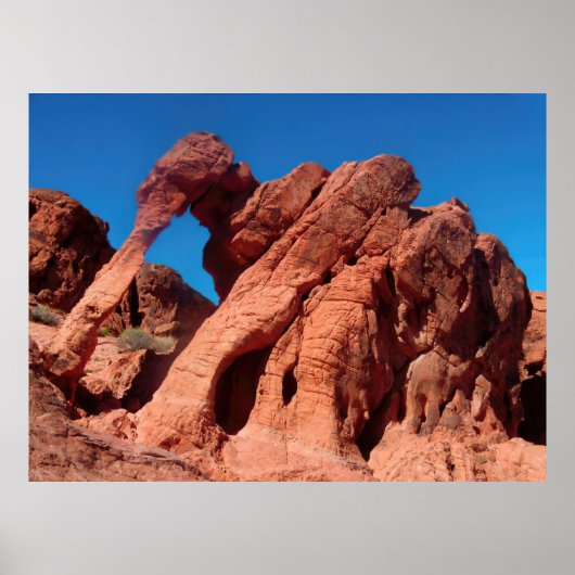 Elephant Rock Poster (Vorne)