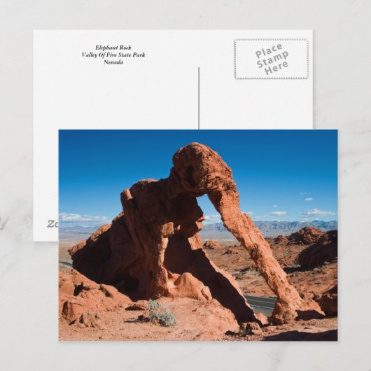 Elephant Rock Postkarte (Vorne/Hinten)