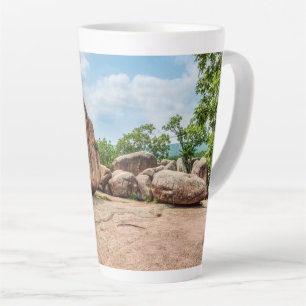 Elephant Rocks Staat Park Milchtasse