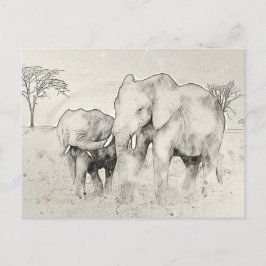 Elephant Safari Sketch Post Card Postkarte