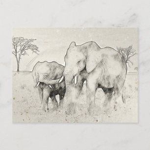 Elephant Safari Sketch Post Card Postkarte