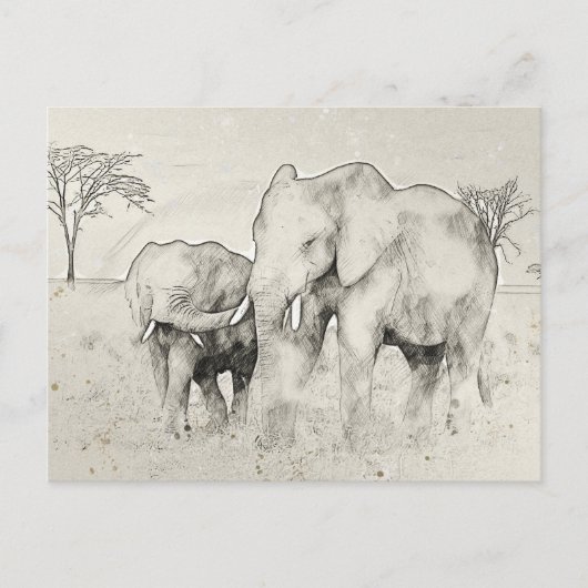 Elephant Safari Sketch Post Card Postkarte (Vorderseite)